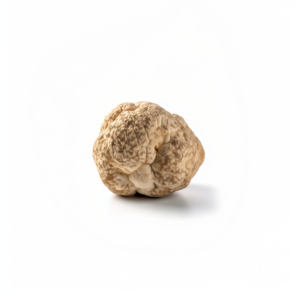 Tartufo Bianco di Alba