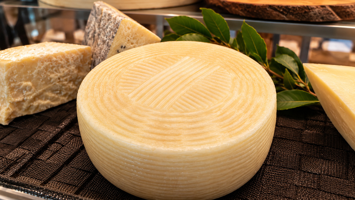 Forma di Pecorino Sardo disponibile da Sapori di Norcia a Casal Palocco